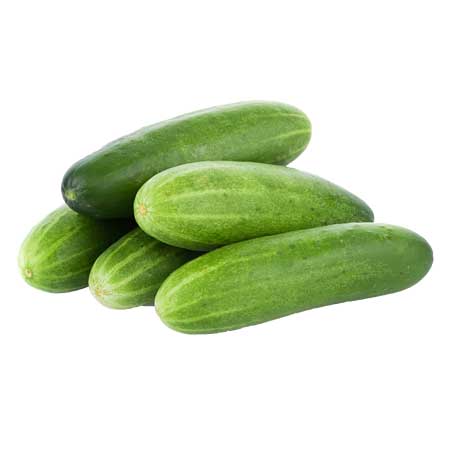 Cucumber