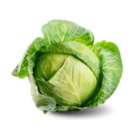 Cabbage